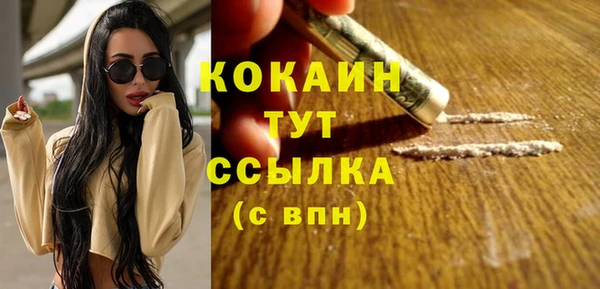 молекула духа Осинники