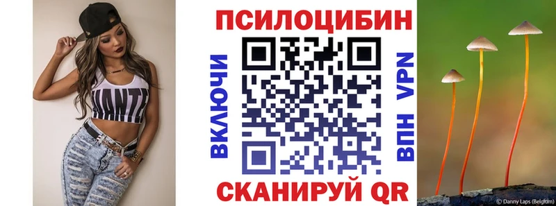 Галлюциногенные грибы Psilocybine cubensis  blacksprut сайт  Шарыпово  купить закладку 